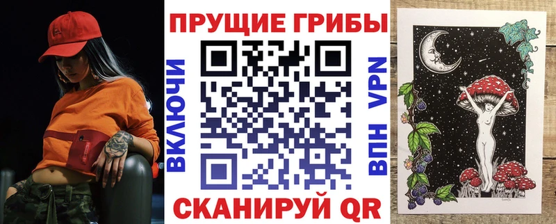 Псилоцибиновые грибы прущие грибы  купить   Махачкала 