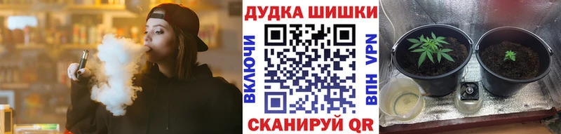наркошоп  Махачкала  Конопля индика 